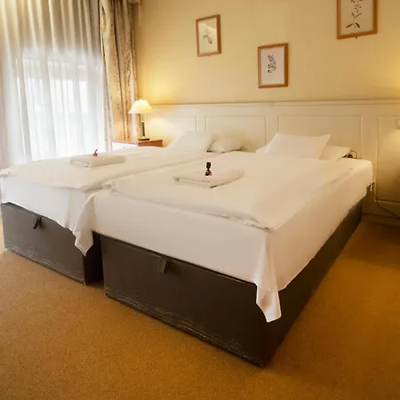 Korona Hotel 3*