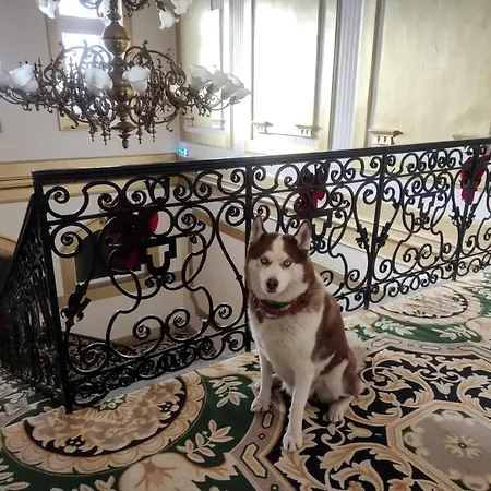 Korona Hotel