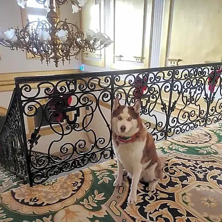 Otel Korona